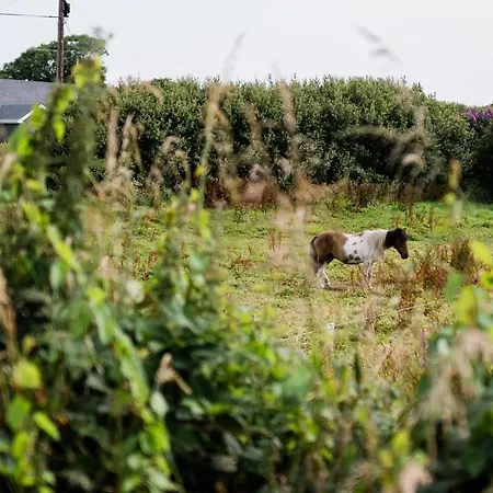 Modern Self Catering Apartment, Lägenhet