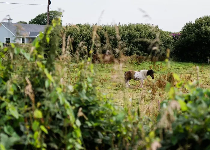 Modern Self Catering Apartment, Lägenhet